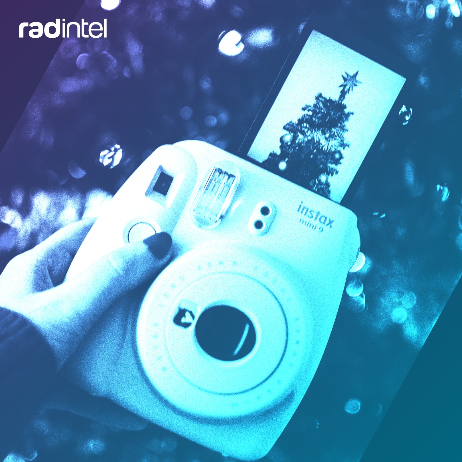 Gratitude During This Holiday Season