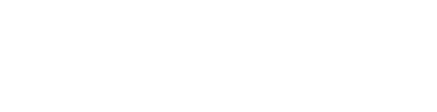 Altivera Vision