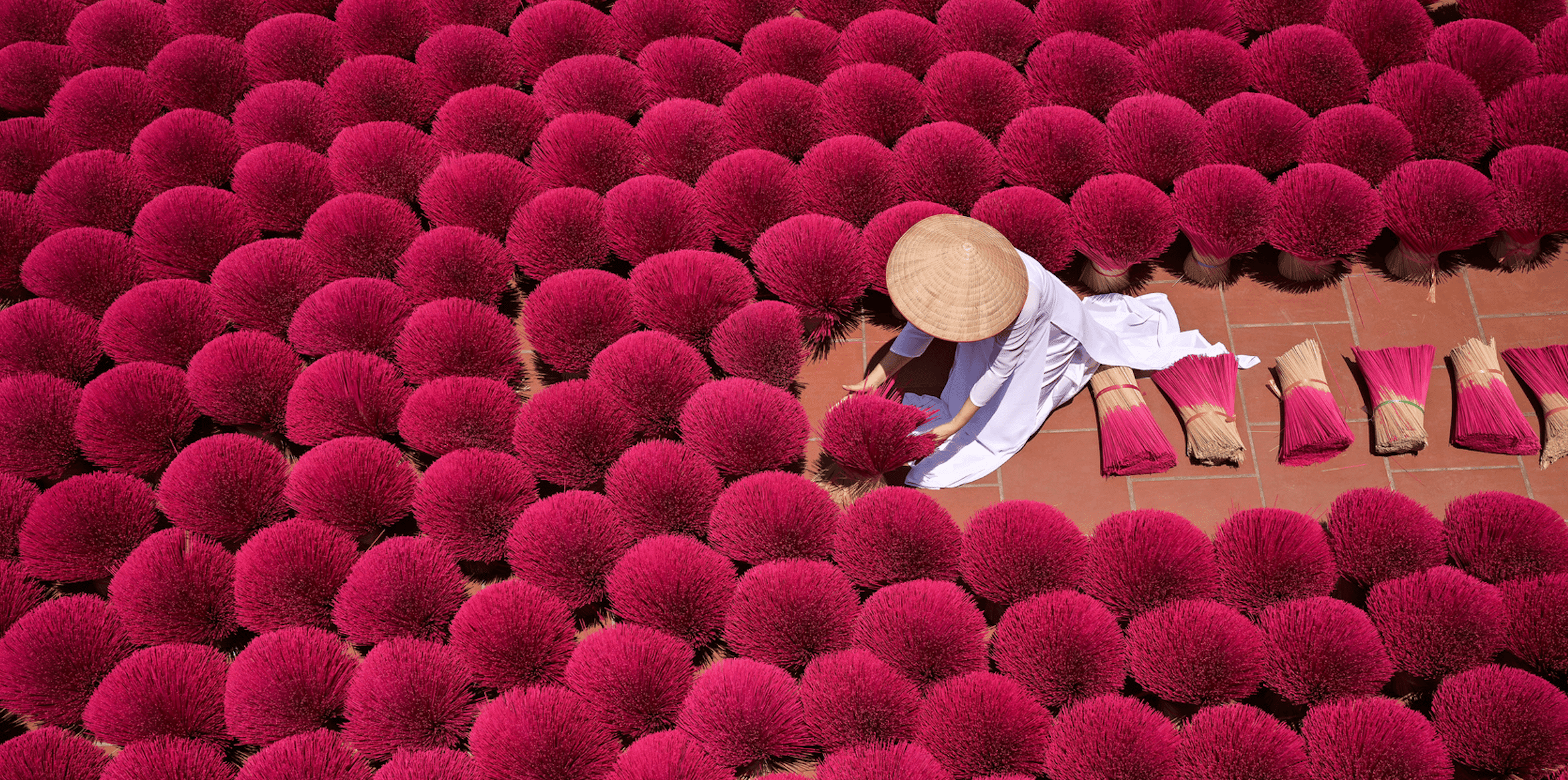 A person picking flowers in a field